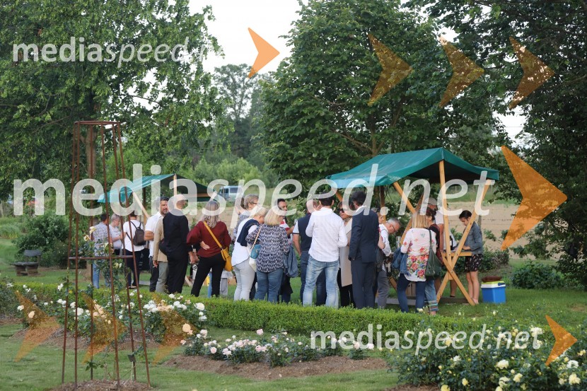 Vino in vrtnice 2019Vino in vrtnice 2019