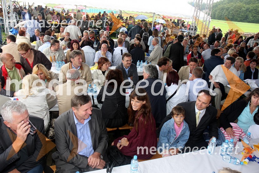 Festival SDSFestival SDS