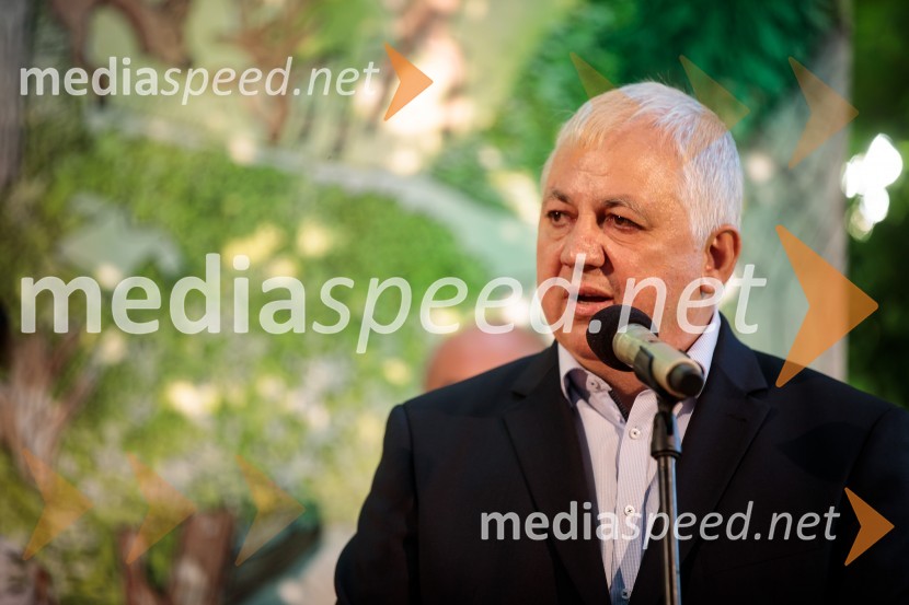  Peter Tomšič, predsednik uprave, Mladinska knjiga ZaložbaLevstikovi nagradi 2019 v roke Borisa A. Novaka in Jelki Godec Schmidt