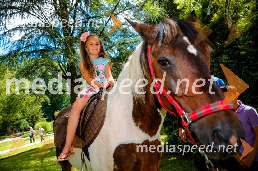 Napovedujemo: MAČJE MESTO 2021