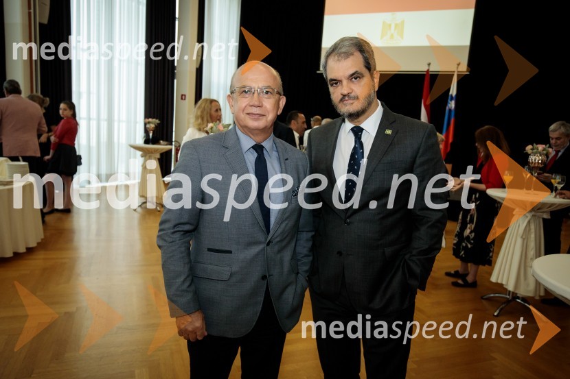Egiptovski nacionalni dan, praznovanje in sprejem egiptovskega veleposlanika