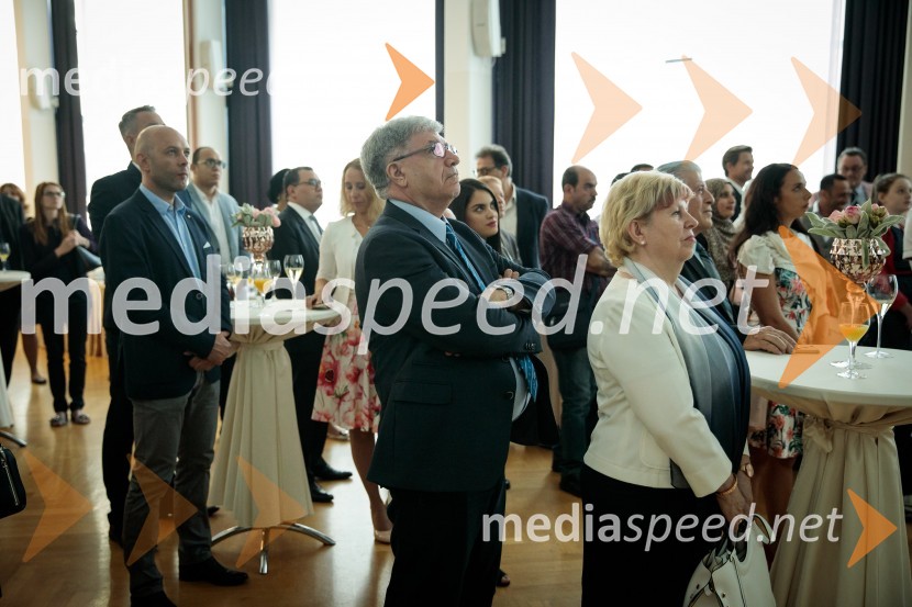 Egiptovski nacionalni dan, praznovanje in sprejem egiptovskega veleposlanika