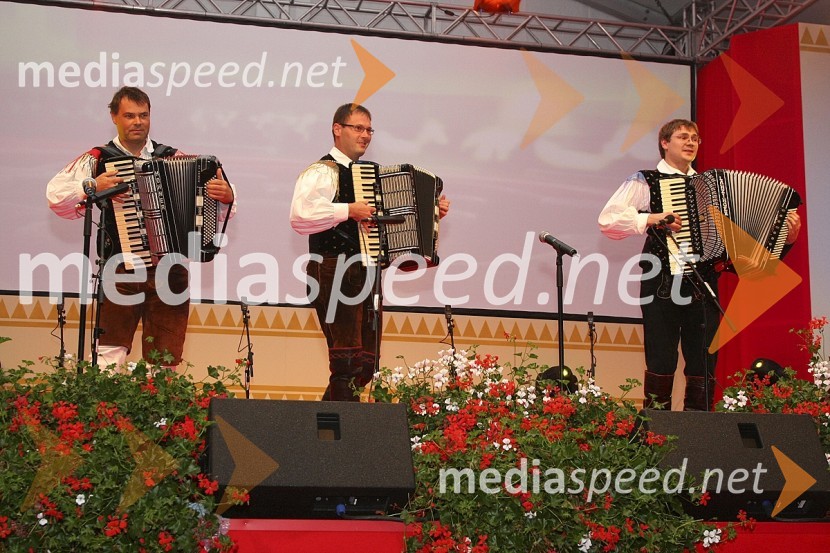 Festival Avsenik 2008Festival Avsenikov 2008