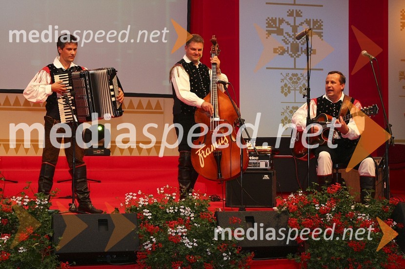 Nastop ansambla Mitja kvintetFestival Avsenikov 2008