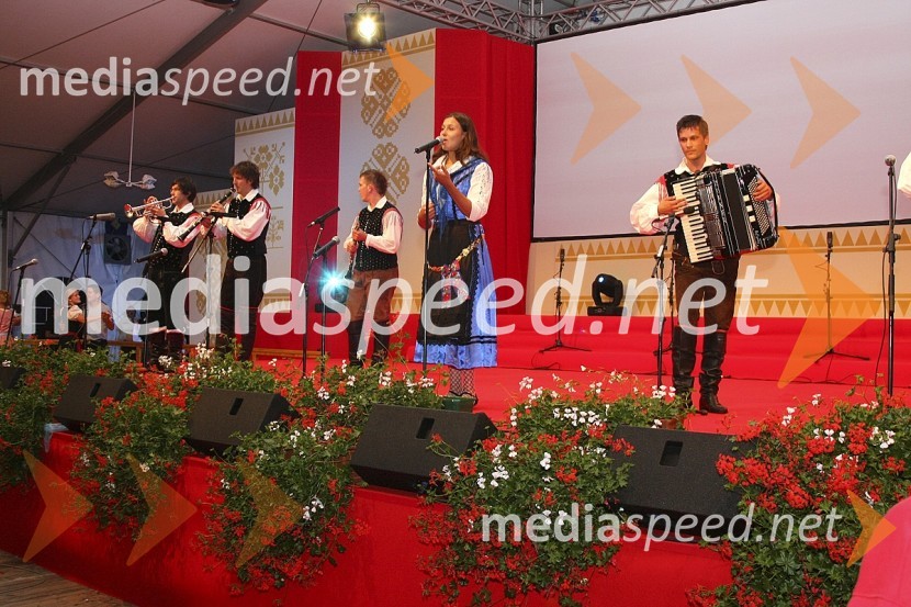 Nasop ansambla Mitja kvintetFestival Avsenikov 2008