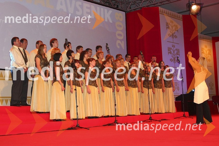 Mešani pevski zbor ŠoštanjFestival Avsenikov 2008
