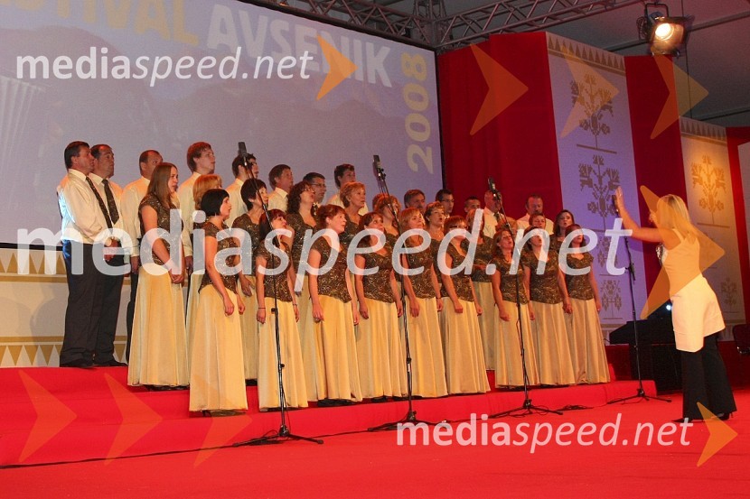 Mešani pevski zbor ŠoštanjFestival Avsenikov 2008