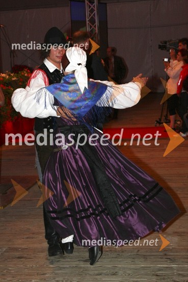 Festival Avsenik 2008Festival Avsenikov 2008