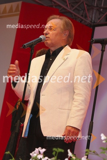 Alfi Nipič, pevecFestival Avsenikov 2008