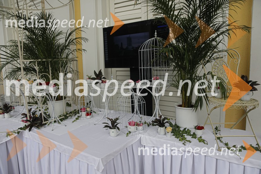 Anin ples 2019Anin ples 2019