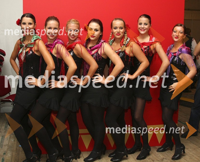 Plesna skupina Mojce HorvatFestival Avsenikov 2008