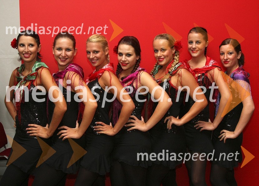 Plesna skupina Mojce HorvatFestival Avsenikov 2008