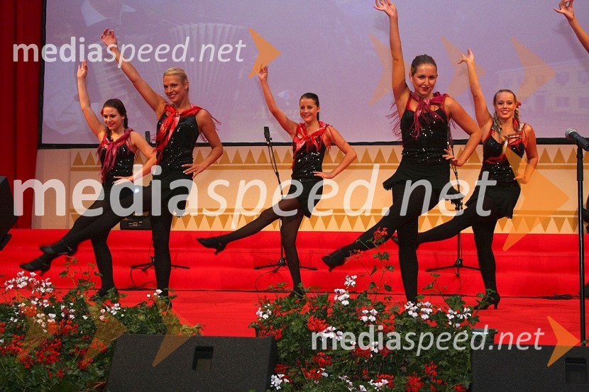 Nastop plesne skupine Mojce HorvatFestival Avsenikov 2008