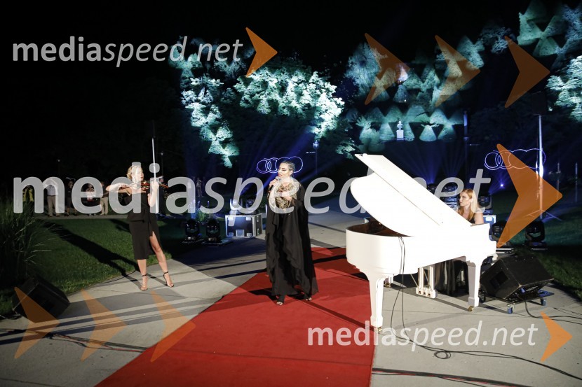  Maša Golob, violinistka;  RAIVEN, pevka;  Nataša Lazić, pianistkaAnin ples 2019