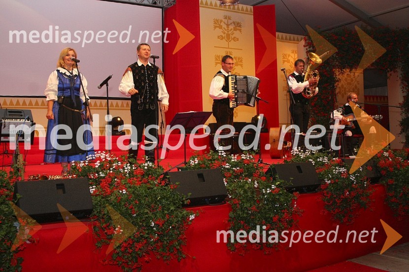 Nastop ansambla GašperjiFestival Avsenikov 2008