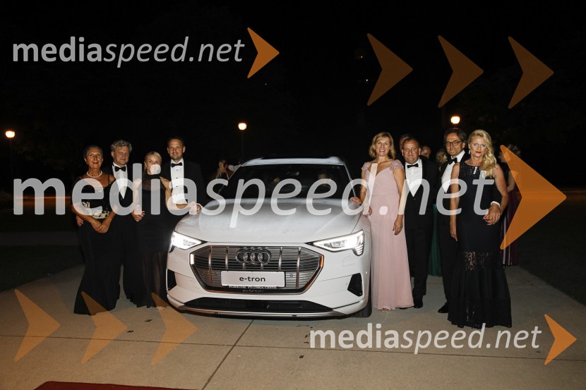  Beatrix Wienerroither;  Friedrich Wienerroither	;  Mirjam Bolta;  Franci Bolta, direktor znamke Audi pri podjetju Porsche Slovenija d.o.o.;  Jana Koželj, Koželj d.o.o.;  Jože Koželj, direktor Koželj d.o.o.;  Martin Wienerroither, generalni direktor Porsche Slovenija;  Sanja StanićAnin ples 2019