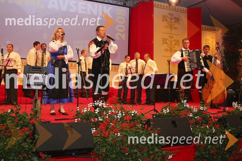 Ansambel Gašperji in moški del Mešanega pevskega zbora ŠoštanjFestival Avsenikov 2008