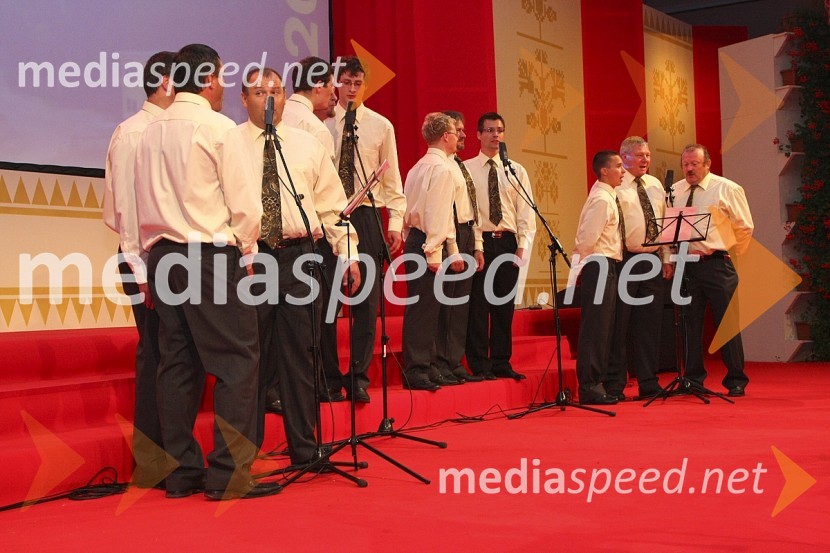 Moški del Mešanega pevskega zbora ŠoštanjFestival Avsenikov 2008