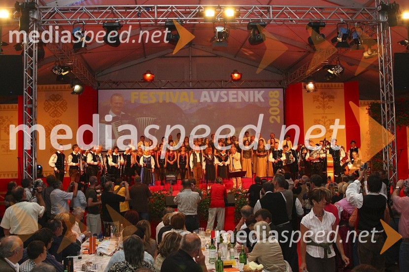 Zaključek sobotnega večera Festivala Avsenik 2008Festival Avsenikov 2008