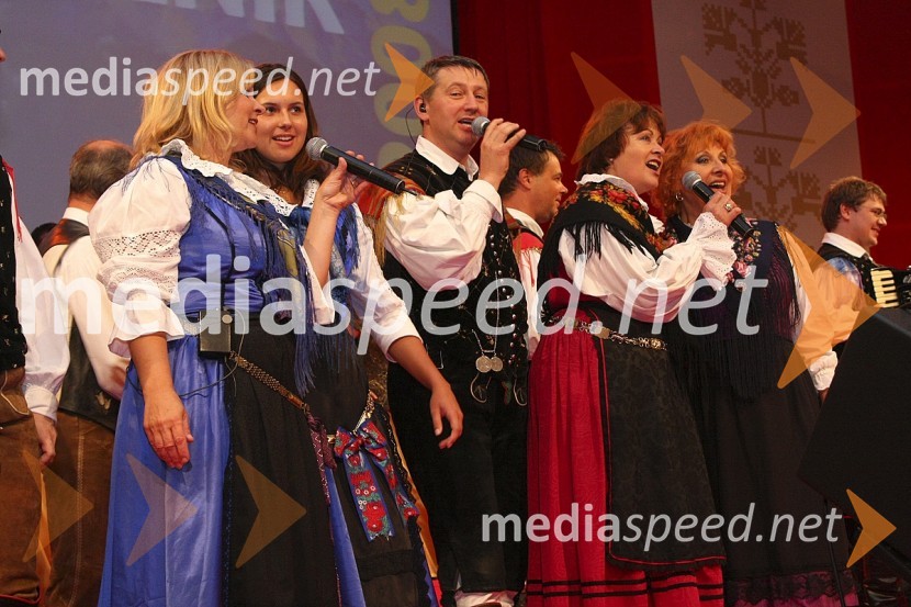 Zaključek sobotnega večera Festivala Avsenik 2008Festival Avsenikov 2008