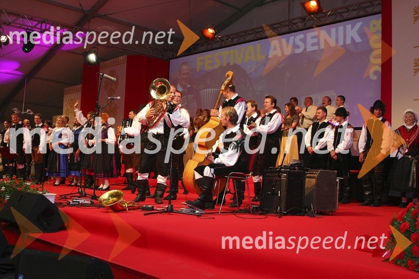 Zaključek sobotnega večera Festivala Avsenik 2008Festival Avsenikov 2008