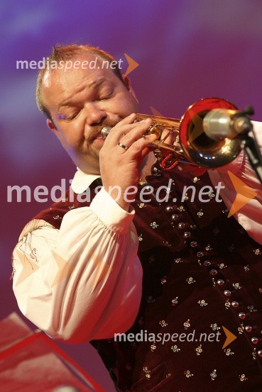 Festival Avsenik 2008Festival Avsenikov 2008