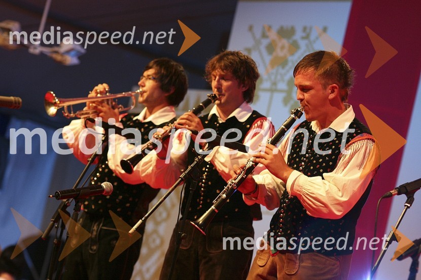 Nastop ansambla Mitja kvintetFestival Avsenikov 2008