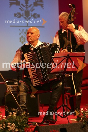 Hišni ansambel AvsenikFestival Avsenikov 2008