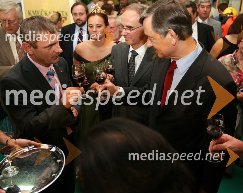 Peter Vrisk, predsednik upravnega odbora Zadružne zveze Slovenije z.o.o., Svetlana Širec, Vinska kraljica Slovenije 2008, Janez Erjavec, direktor Pomurskega sejma in dr. Danilo Türk, predsednik Republike SlovenijeOtvoritev 46. mednarodnega kmetijsko-živilskega sejma v Gornji Radgoni