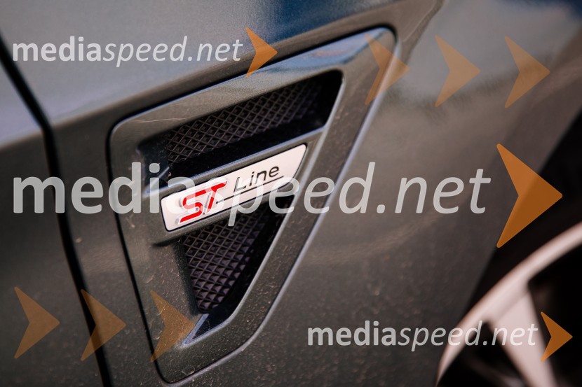 Ford S-Max 2.0 EcoBlue 140kW AWD AT ST-lineFord S-Max 2.0 EcoBlue 140kW AWD AT ST-line, mediaspeed test