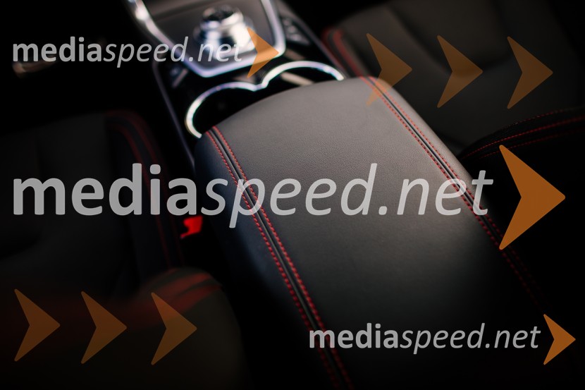 Ford S-Max 2.0 EcoBlue 140kW AWD AT ST-lineFord S-Max 2.0 EcoBlue 140kW AWD AT ST-line, mediaspeed test