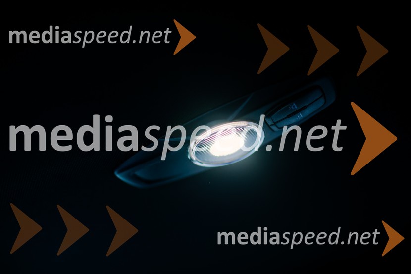 Ford S-Max 2.0 EcoBlue 140kW AWD AT ST-lineFord S-Max 2.0 EcoBlue 140kW AWD AT ST-line, mediaspeed test