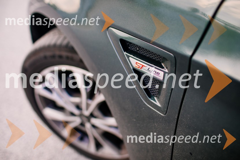 Ford S-Max 2.0 EcoBlue 140kW AWD AT ST-lineFord S-Max 2.0 EcoBlue 140kW AWD AT ST-line, mediaspeed test