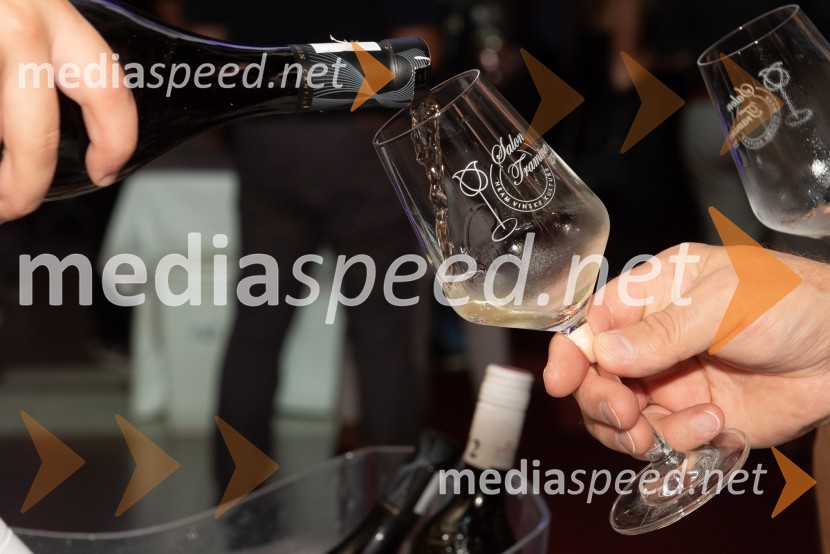 10. Salon Traminec 2019