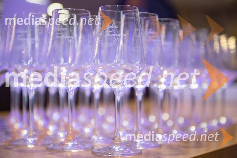 10. Salon Traminec 2019