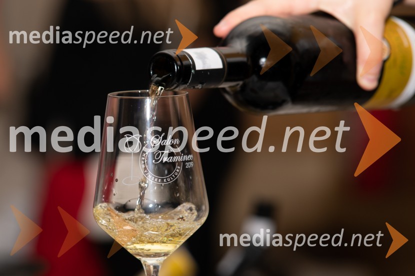 10. Salon Traminec 2019