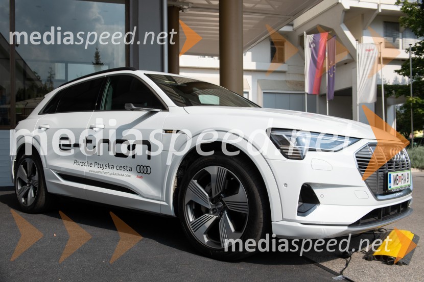 10. Salon Traminec 2019