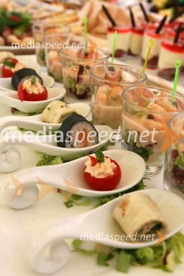 PogostitevPredstavitev kolekcije Lisca za sezono pomlad-poletje 2009