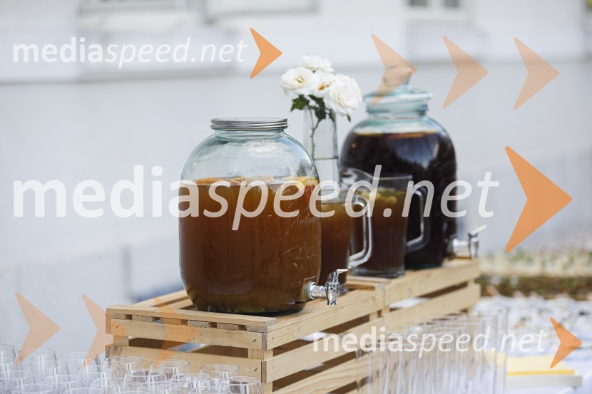 Čajanka mednarodnega foruma WEF (Women Economic Forum)