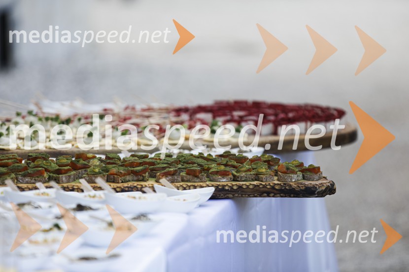 Čajanka mednarodnega foruma WEF (Women Economic Forum)