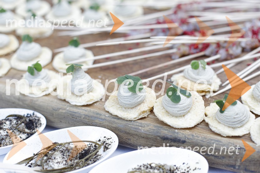 Čajanka mednarodnega foruma WEF (Women Economic Forum)