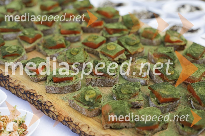 Čajanka mednarodnega foruma WEF (Women Economic Forum)