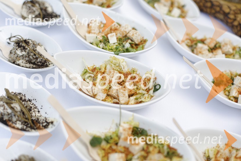 Čajanka mednarodnega foruma WEF (Women Economic Forum)