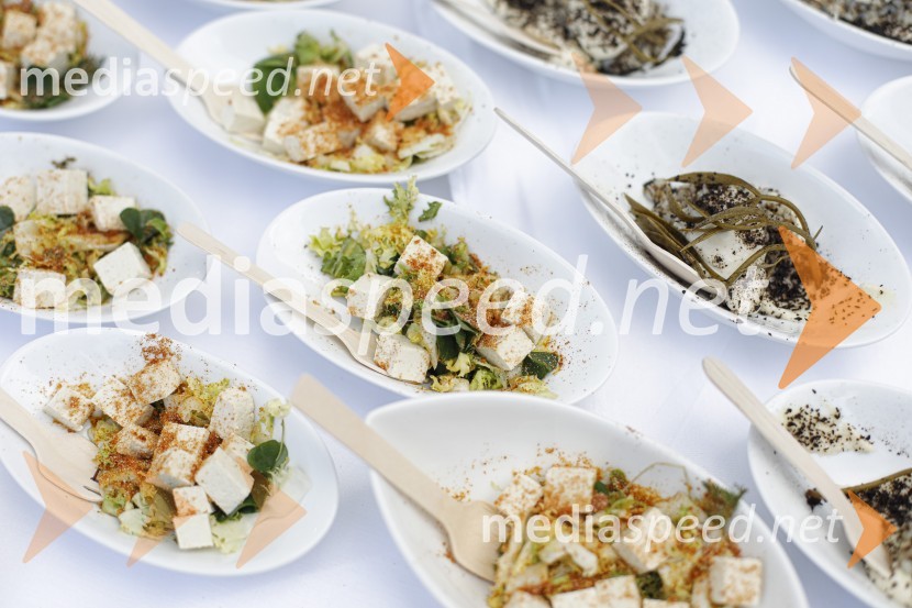 Čajanka mednarodnega foruma WEF (Women Economic Forum)