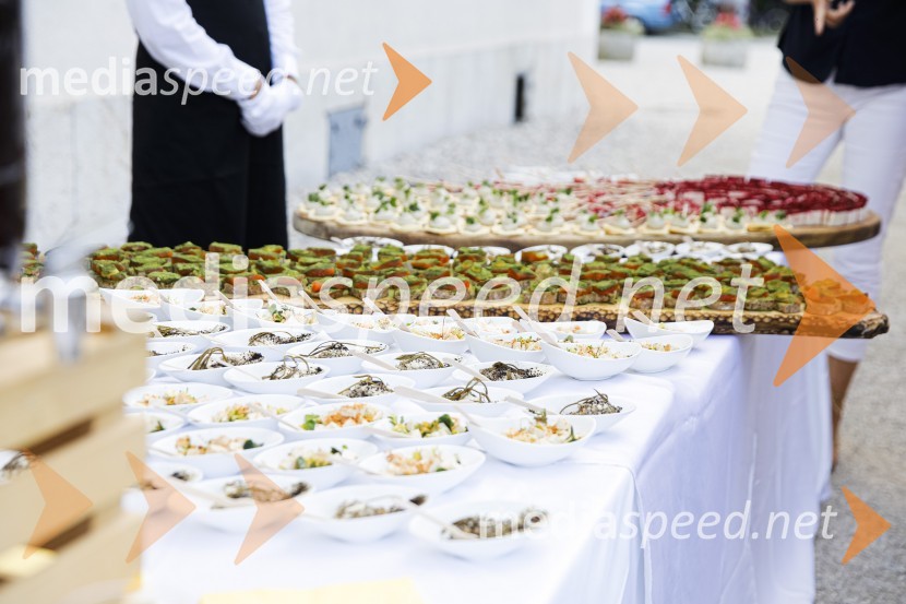 Čajanka mednarodnega foruma WEF (Women Economic Forum)