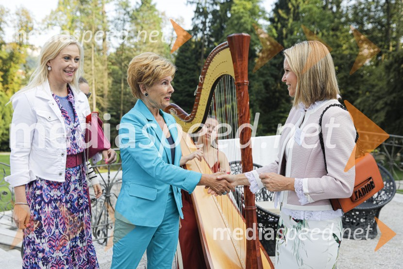  Klaudija Javornik,  Adacta d.o.o.;  ... ; dr. Saša Božič, Koordinatorka projekta WEF Slovenia 2020 in Executive CoachinjaČajanka mednarodnega foruma WEF (Women Economic Forum)