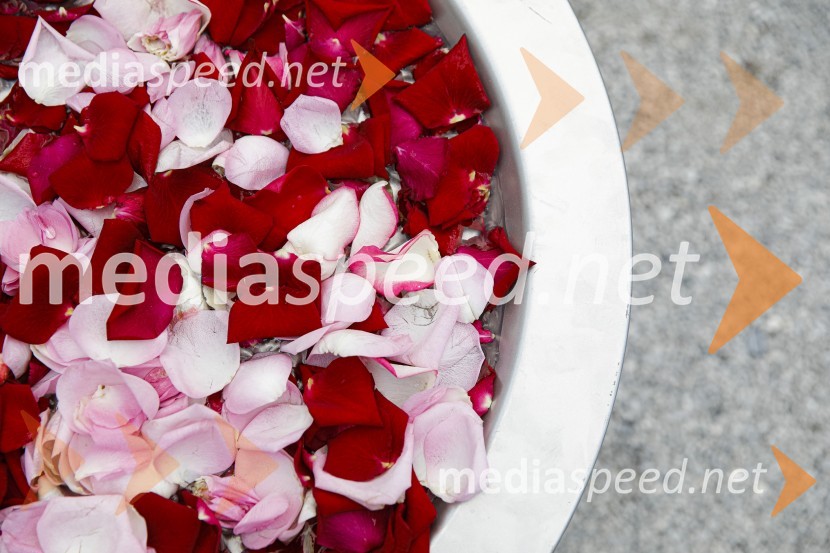 Čajanka mednarodnega foruma WEF (Women Economic Forum)