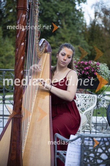 Čajanka mednarodnega foruma WEF (Women Economic Forum)