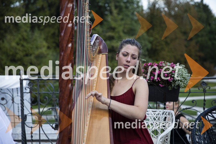 Čajanka mednarodnega foruma WEF (Women Economic Forum)