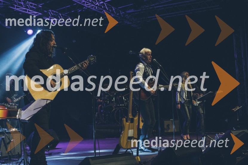 Koncert Andrej Šifrer, 40 let norosti